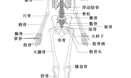 哺乳期腰疼能按摩吗女性-哺乳期腰疼可以艾灸吗,中国哺乳期腰疼能按摩吗网站
